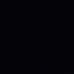 Meet your Posher, Lauri